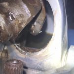 Here’s why you should check your drive-shaft from time to time 3
