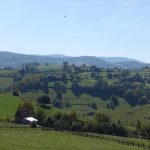 Riding behind a tall wind-screen - Transylvania’s hidden villages 9