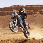 Yamaha Tenere 700 Available on the US Market from June 2
